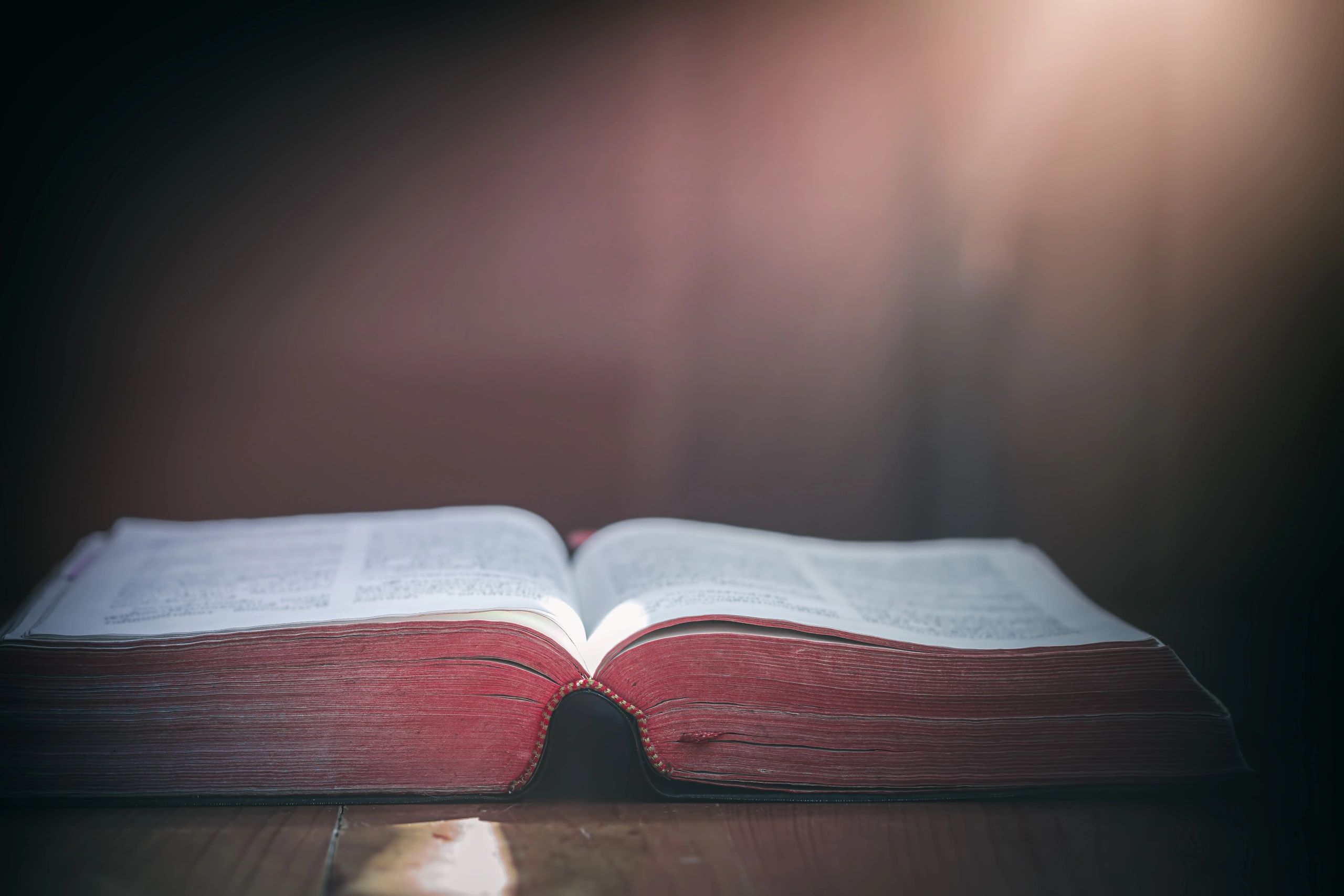 Open Bible in warm morning light