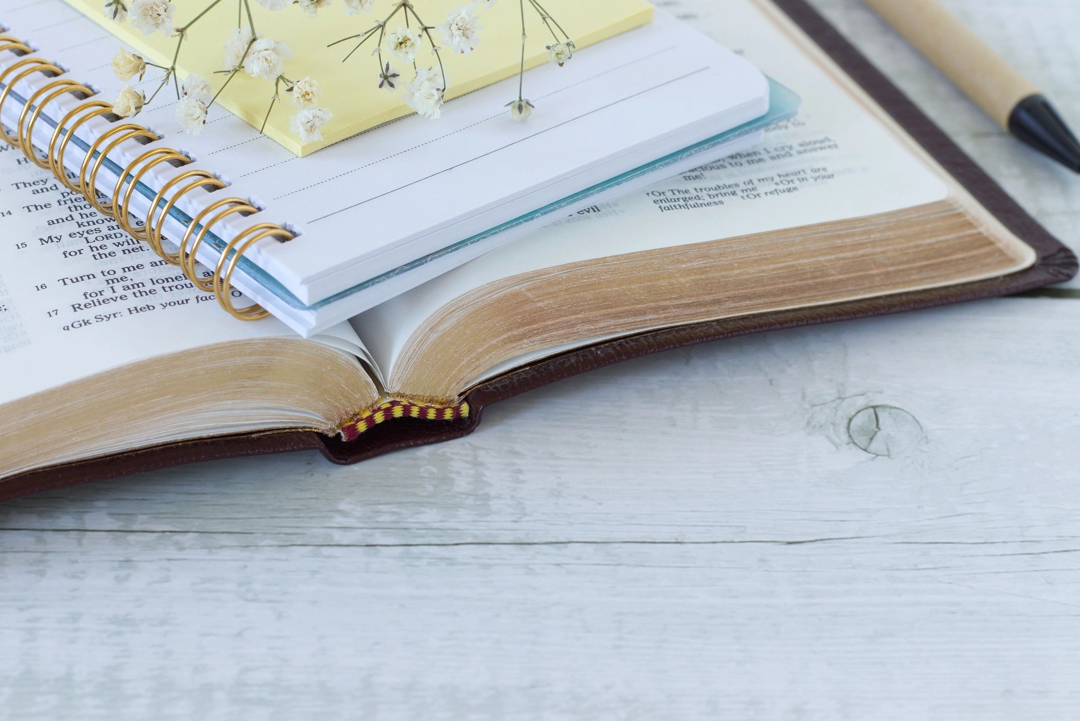 Open Bible and notebook for study